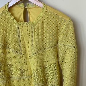Anthro Burnham Lace long sleeved blouse